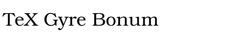 TeX Gyre Bonum Font Family font