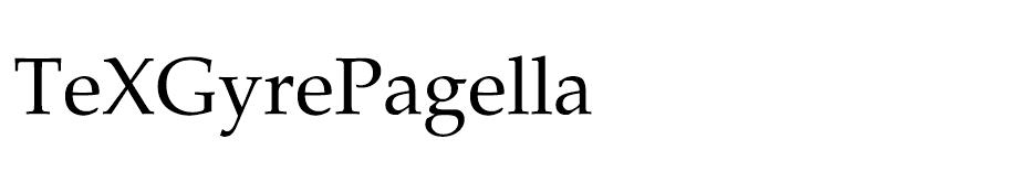 TeX Gyre Pagella Font Family font