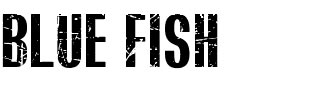 BLUEFISH BLACK SCRATCHED font