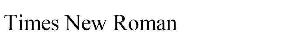 Times New Roman font